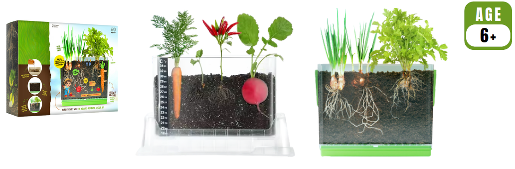 BIO-EXPLORER: PLANT GROWTH OBSERVATION KIT 